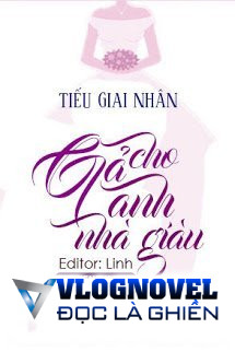 Gả Cho Anh Nhà Giàu