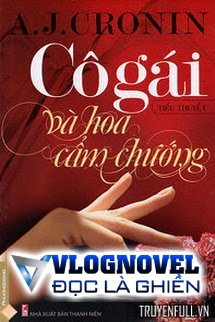 Cô Gái Và Hoa Cẩm Chướng