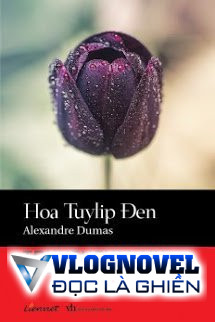 Hoa Tulip Đen